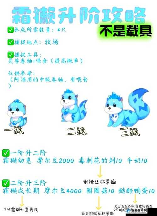 摩尔庄园手游蒜头蛙位置全攻略：你能在30分钟内找齐所有隐藏点吗？