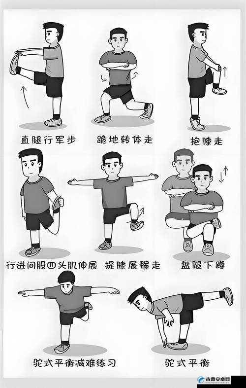 樱桃湾之夏体能训练有多重要?这份超详细攻略让你秒变运动达人!
